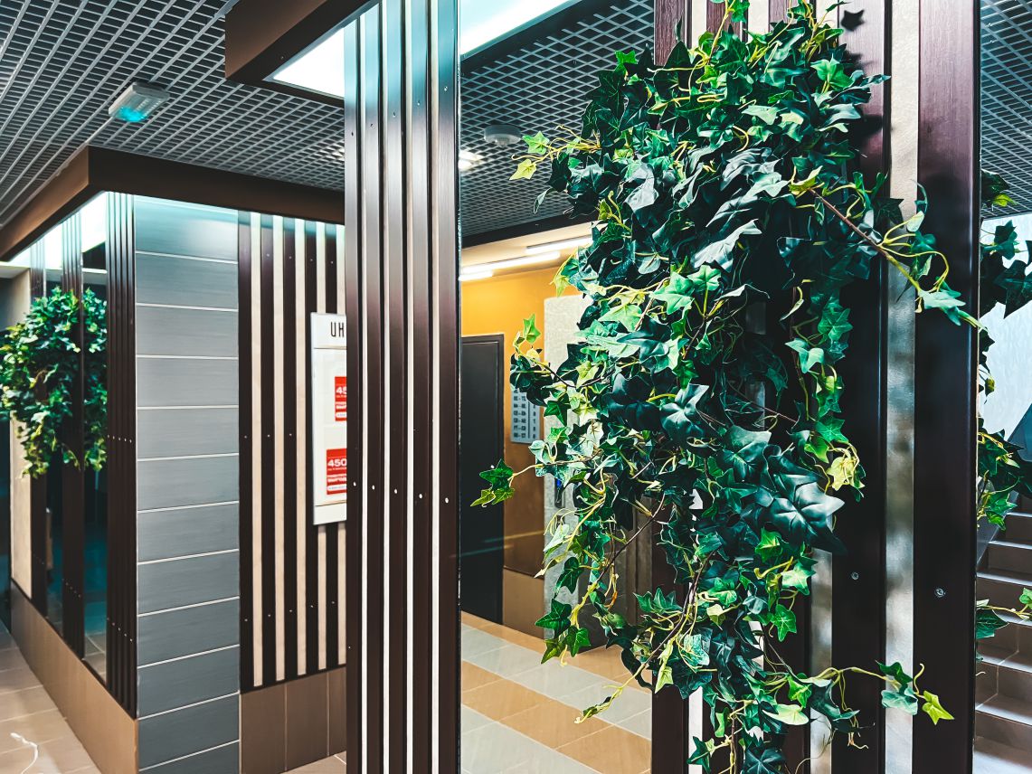 Места общего пользования